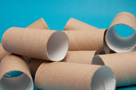 A pile of empty toilet rolls against a teal backdrop