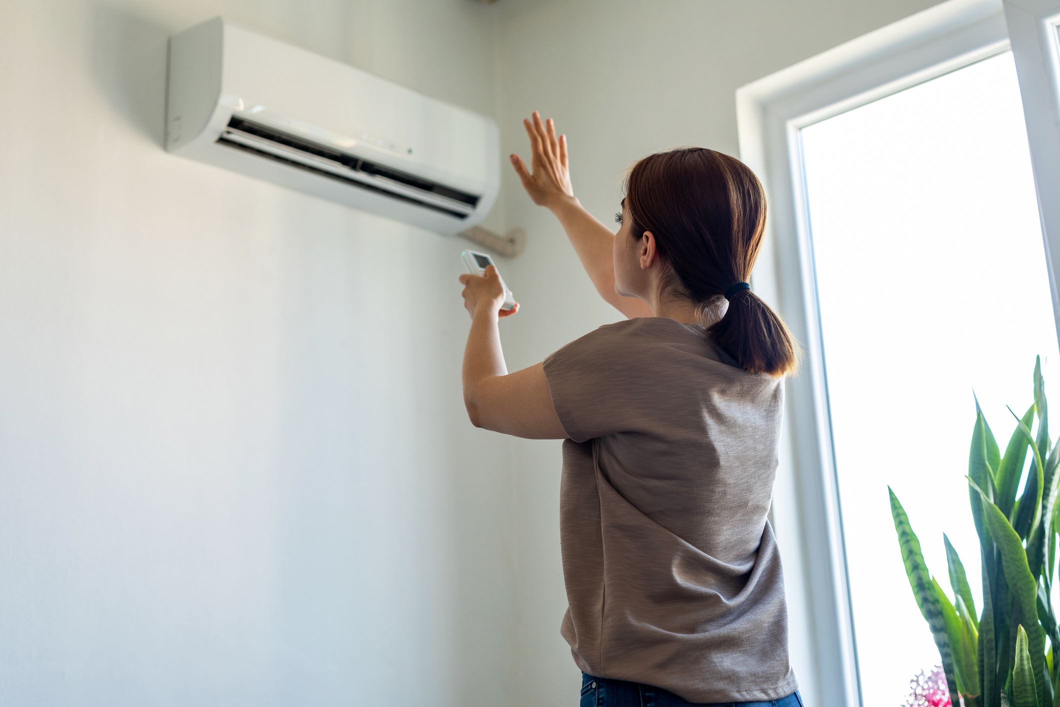 HVAC System