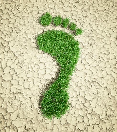 A footprint made of green grass